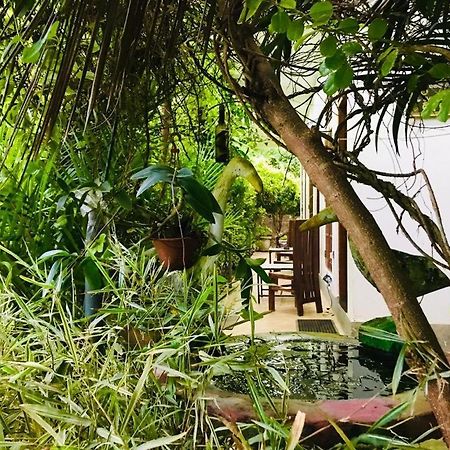 Green Jade Inn Мирисса Экстерьер фото