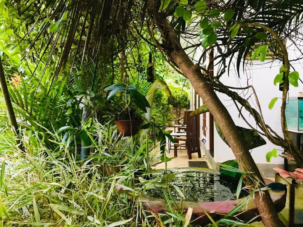 Green Jade Inn Мирисса Экстерьер фото